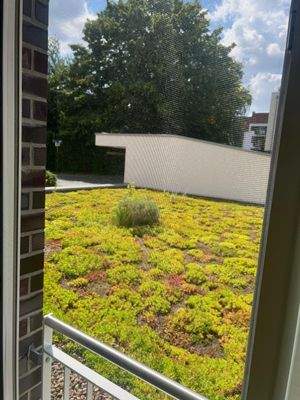 WhatsApp Image 2025-08-10 at 14.36.18 (14)