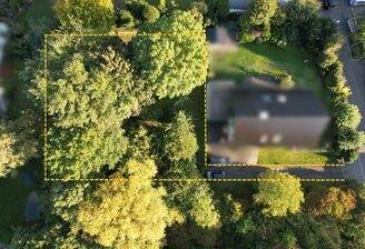 Vogelansicht des Grundstückes