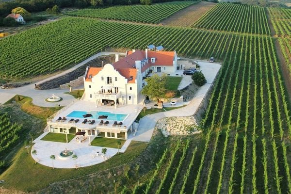 10 Hektar WEingut mit Schloss