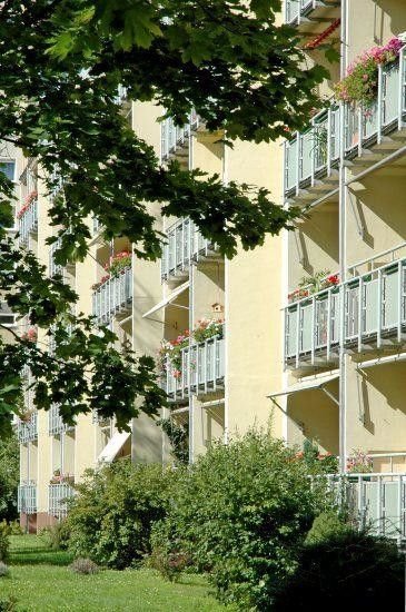 3 Zimmer Wohnung in Dresden (Johannstadt-Süd)