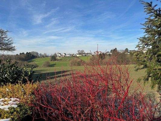 Felder hinter dem Haus 