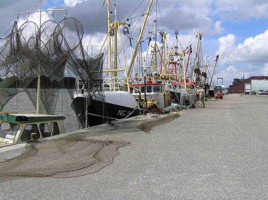 Ferienhaus Lauwersoog kaufen020