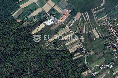 Sveti Ivan Zelina Bauernhöfe, Landwirtschaft, Sveti Ivan Zelina Forstwirtschaft