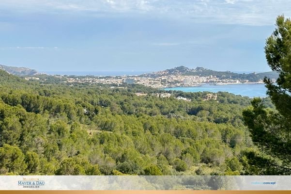 Baugrundstück mit Blick auf ganz Cala Ratjada in Font de Sa Cala ...