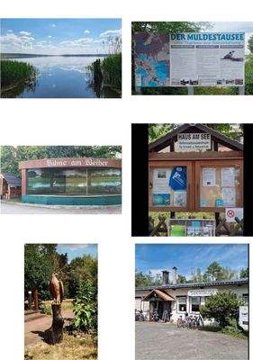 Umgebung Muldestausee