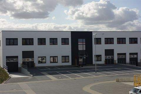 Berlin Halle, Berlin Hallenfläche