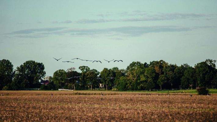 Weite Boddenlandschaft rund um das Resort