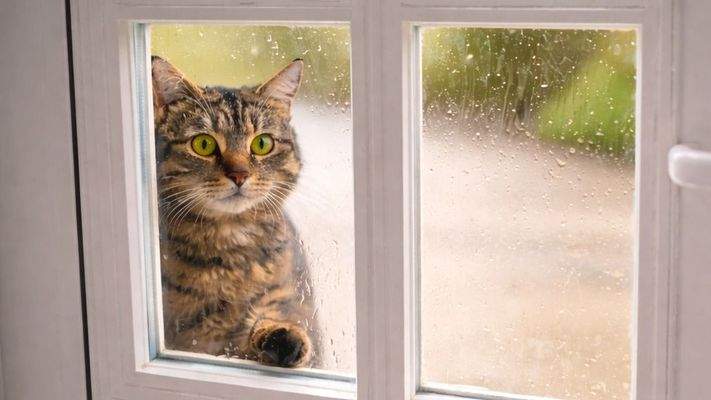 Wer schaut denn da rein?