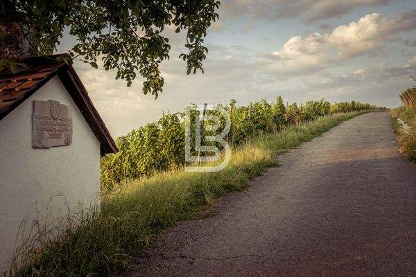 nahegelegener Spazierweg