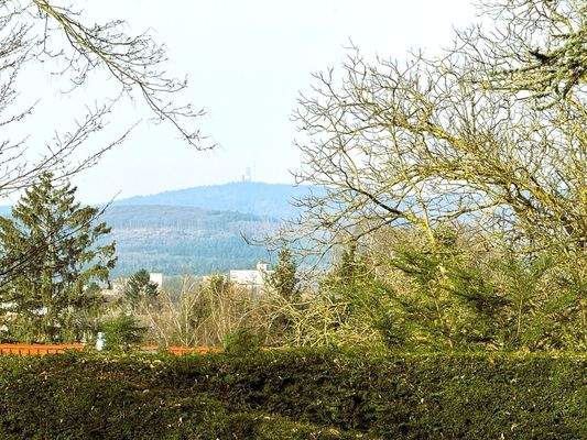 Blick auf den Feldberg 
