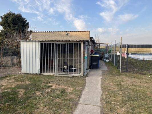 Hundezwinger / dahinter Garage und Hühnerstall