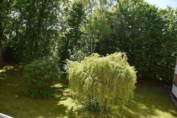 Loggia - Blick aufs Grundstück
