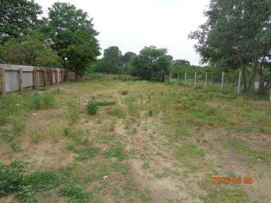 Grundstück mit kleinen Wald dabei