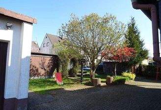 Blick in den Garten