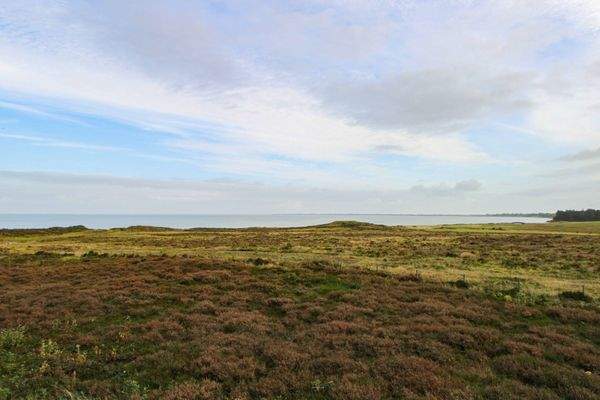 weitläufige Heidelandschaft