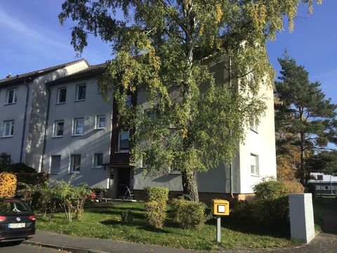 Neustadt (Hessen) Wohnungen, Neustadt (Hessen) Wohnung mieten