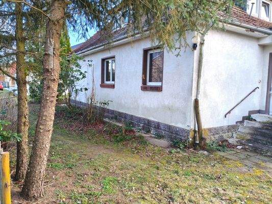 PHOTO-2026-03-17-21-00-58 (1)