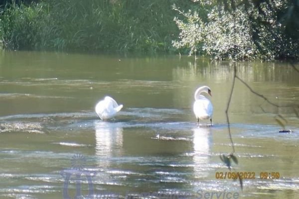 Idylle an der Saar