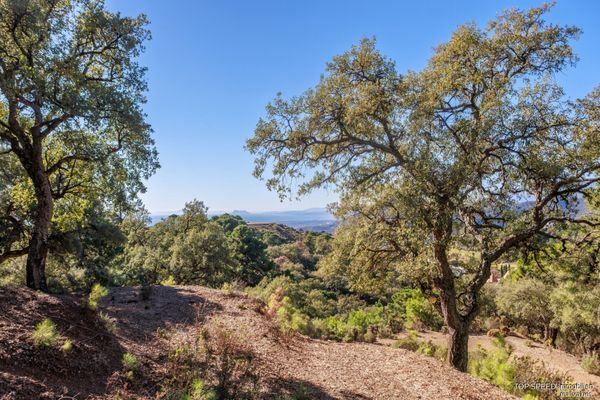 Photo: Plot in Benahavis