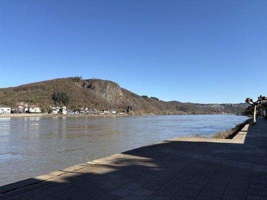 Direkt an der Rheinpromenade