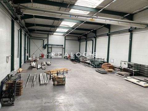 München Halle, München Hallenfläche