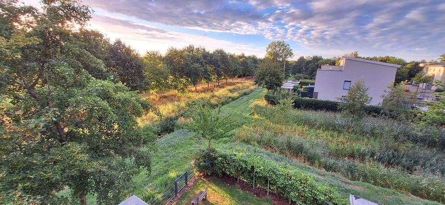 Panorama - Dachterrasse