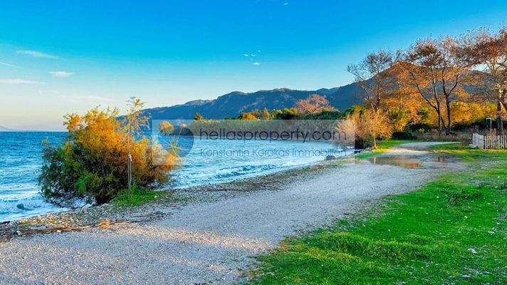 5036c1247b0444b99eb55be73817d180-original