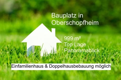 Friesenheim Grundstücke, Friesenheim Grundstück kaufen