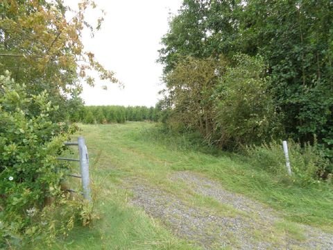 Wiesmoor-Zwischenbergen Bauernhöfe, Landwirtschaft, Wiesmoor-Zwischenbergen Forstwirtschaft