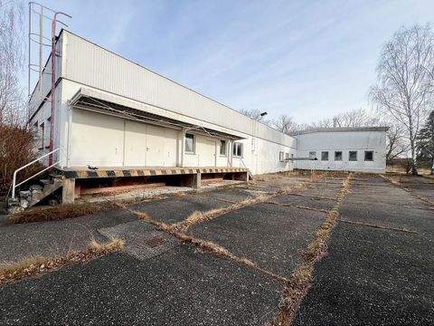 Coswig Halle, Coswig Hallenfläche