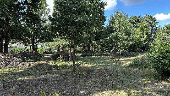 Grundstück Bild 2.jpg