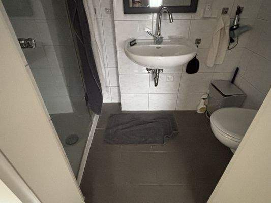 Duschbad EG-Wohnung