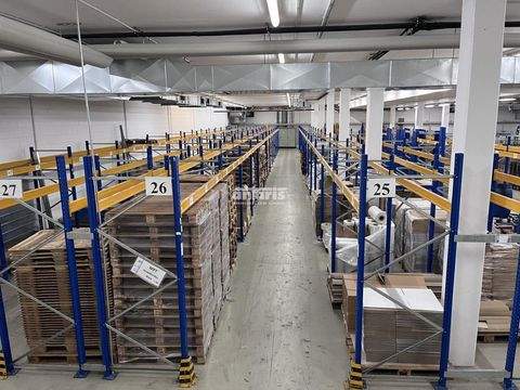 Erfurt Halle, Erfurt Hallenfläche