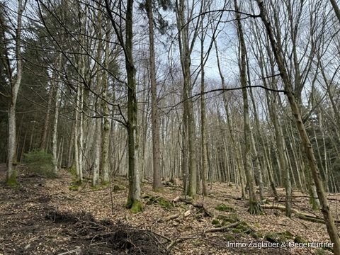 Schaufling / Böhaming Bauernhöfe, Landwirtschaft, Schaufling / Böhaming Forstwirtschaft