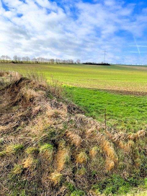 Nideggen Grundstücke, Nideggen Grundstück kaufen