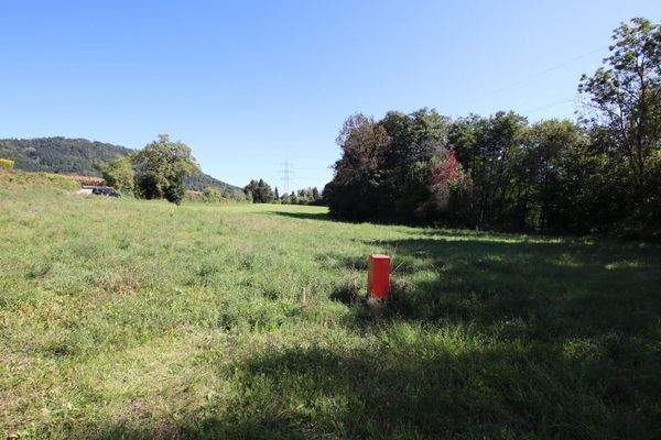 Schöner, großer und flacher 1.850m² Baugrund in Ludmannsdorf - Lukowitz