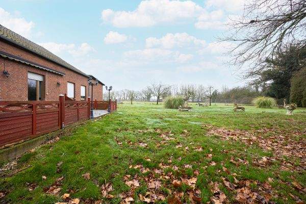 Restaurant - Terrasse 