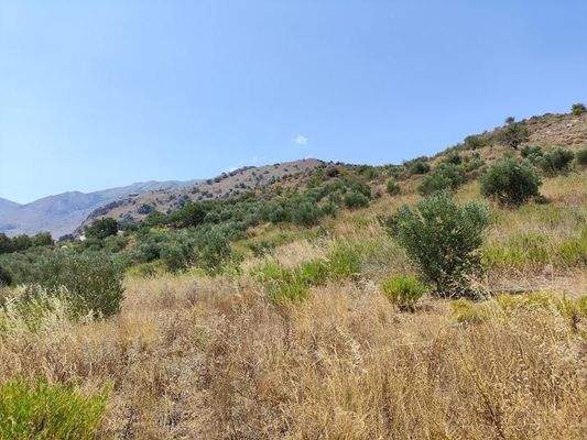 Kreta, Georgioupoli: Premium-Grundstück mit fertiger Lizenz in der Nähe des Dorfes zu verkaufen