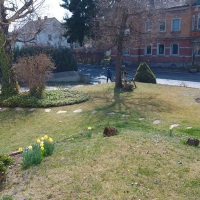 Garten Vorderseite