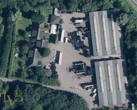 Gescher Halle, Gescher Hallenfläche