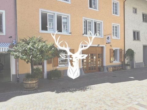 Waldshut-Tiengen Ladenlokale, Ladenflächen 