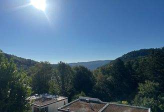 Ausblick
