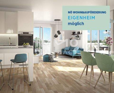 Ober-Grafendorf Wohnungen, Ober-Grafendorf Wohnung kaufen