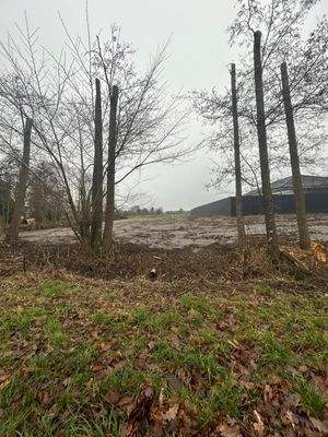 Grundstück Heerstraße.jpeg