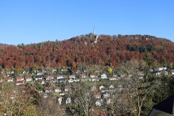 Ausblick