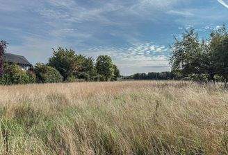 schöne und ruhige Feldrandlage