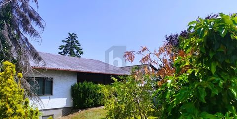 Sollenau Häuser, Sollenau Haus kaufen
