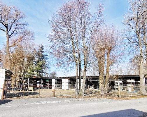 Hausseite Lagerregale Gesamtplatz