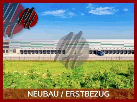 Magdeburg Halle, Magdeburg Hallenfläche