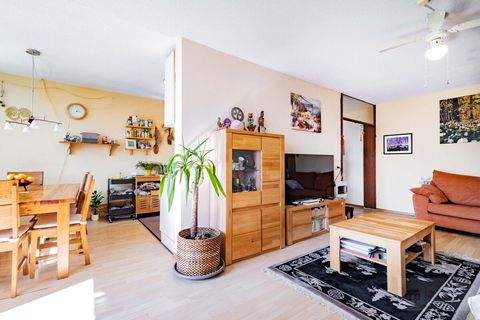 Freiburg im Breisgau Wohnungen, Freiburg im Breisgau Wohnung kaufen